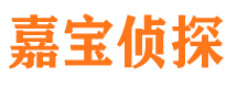 江北侦探公司